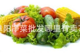 阜阳净菜批发哪里有卖？