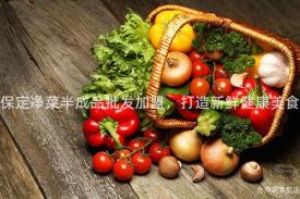 保定净菜半成品批发加盟，打造新鲜健康美食