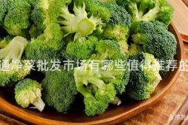 南通净菜批发市场有哪些值得推荐的？