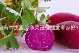河南中央厨房净菜设备批发哪家好？