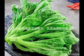 江苏大丰任祖辉净菜籽批发，优质油源等你来选购！