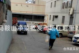 马鞍山净菜批发市场在哪里？