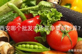 西安哪个批发市场买净菜最划算？