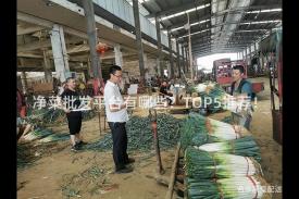 净菜批发平台有哪些？TOP5推荐！