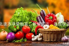 河北速冻净菜批发，新鲜直达，品质保证！