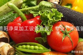 德阳净菜加工设备批发，专业厂家直销