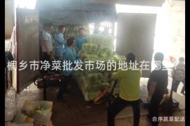 桐乡市净菜批发市场的地址在哪里？