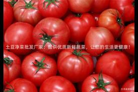 土豆净菜批发厂家：提供优质新鲜蔬菜，让您的生活更健康！