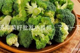 江苏净菜籽批发小视频，了解一下！