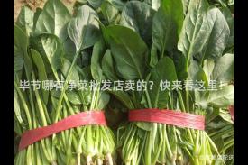 毕节哪有净菜批发店卖的？快来看这里！