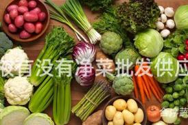 张掖有没有净菜批发供应？
