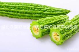 湖北净菜籽批发：优质菜籽油原料供应商
