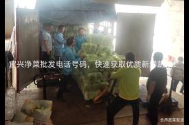 宜兴净菜批发电话号码，快速获取优质新鲜蔬菜！