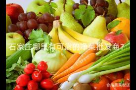 石家庄哪里有可靠的净菜批发商？