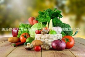 慈溪净菜批发在哪里买？推荐几家正规批发市场！