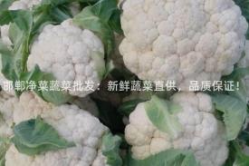 邯郸净菜蔬菜批发：新鲜蔬菜直供，品质保证！