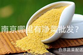 南京哪里有净菜批发？