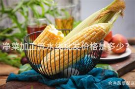 净菜加工流水线批发价格是多少？