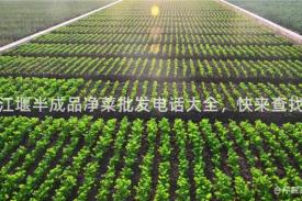都江堰半成品净菜批发电话大全，快来查找！