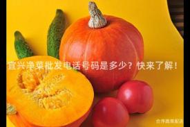 宜兴净菜批发电话号码是多少？快来了解！