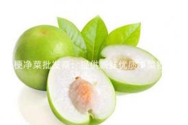 红薯梗净菜批发商：提供新鲜优质净菜批发服务