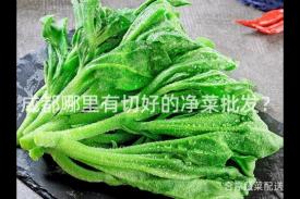 成都哪里有切好的净菜批发？