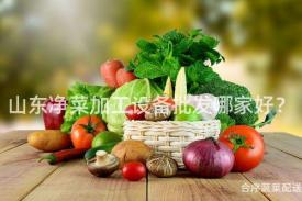 山东净菜加工设备批发哪家好？