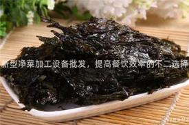 新型净菜加工设备批发，提高餐饮效率的不二选择