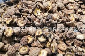 泸州净菜加工设备批发，专业提供高效解决方案