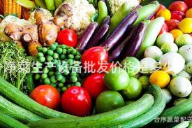 净菜生产设备批发价格是多少？