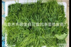 乌鲁木齐哪里有可靠的净菜批发商？