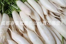 成都净菜批发市场位置在哪里？