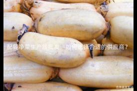 配餐净菜生产线批发，如何选择合适的供应商？