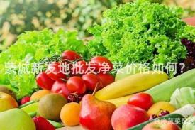 蒙城新发地批发净菜价格如何？