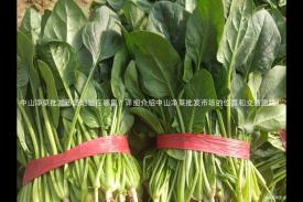 中山净菜批发市场地址在哪里？详细介绍中山净菜批发市场的位置和交通路线！