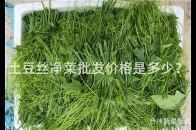 土豆丝净菜批发价格是多少？