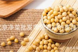 北京净菜批发哪里有好的推荐？