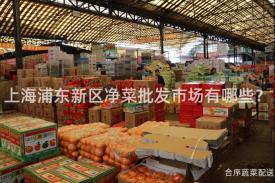 上海浦东新区净菜批发市场有哪些？
