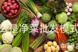 什么是净菜批发模式？