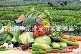 杭州市净菜批发市场在哪里？