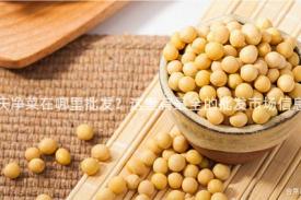 安庆净菜在哪里批发？这里有最全的批发市场信息！