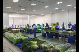 寿春净菜批发电话：优质新鲜蔬菜，一键订购方便快捷！