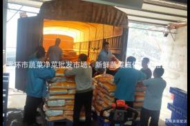玉环市蔬菜净菜批发市场：新鲜蔬菜直供，价格实惠！