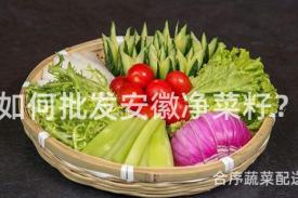 如何批发安徽净菜籽？