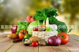 富阳净菜批发：新鲜蔬菜直供，价格实惠！