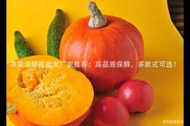 净菜保鲜柜批发厂家推荐：高品质保鲜，多款式可选！