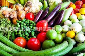 杭州净菜批发商：新鲜蔬菜直供，品质保证！