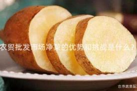 农贸批发市场净菜的优势和挑战是什么？
