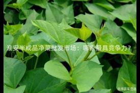 淮安半成品净菜批发市场：哪家最具竞争力？