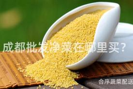 成都批发净菜在哪里买？